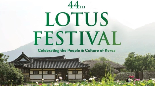 lotusfestival