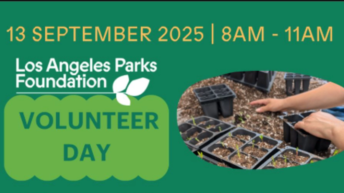Volunteer Day 
