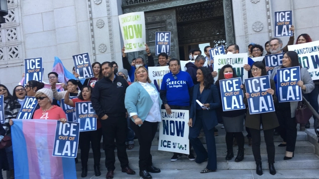Ice out of LA council members picture
