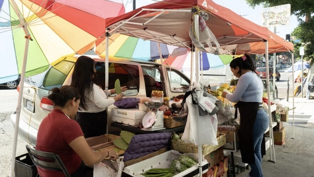 lastreetvendors