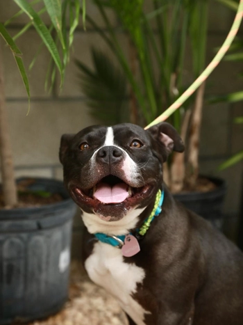 matilda